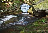 Abbey Pond Trail 2017